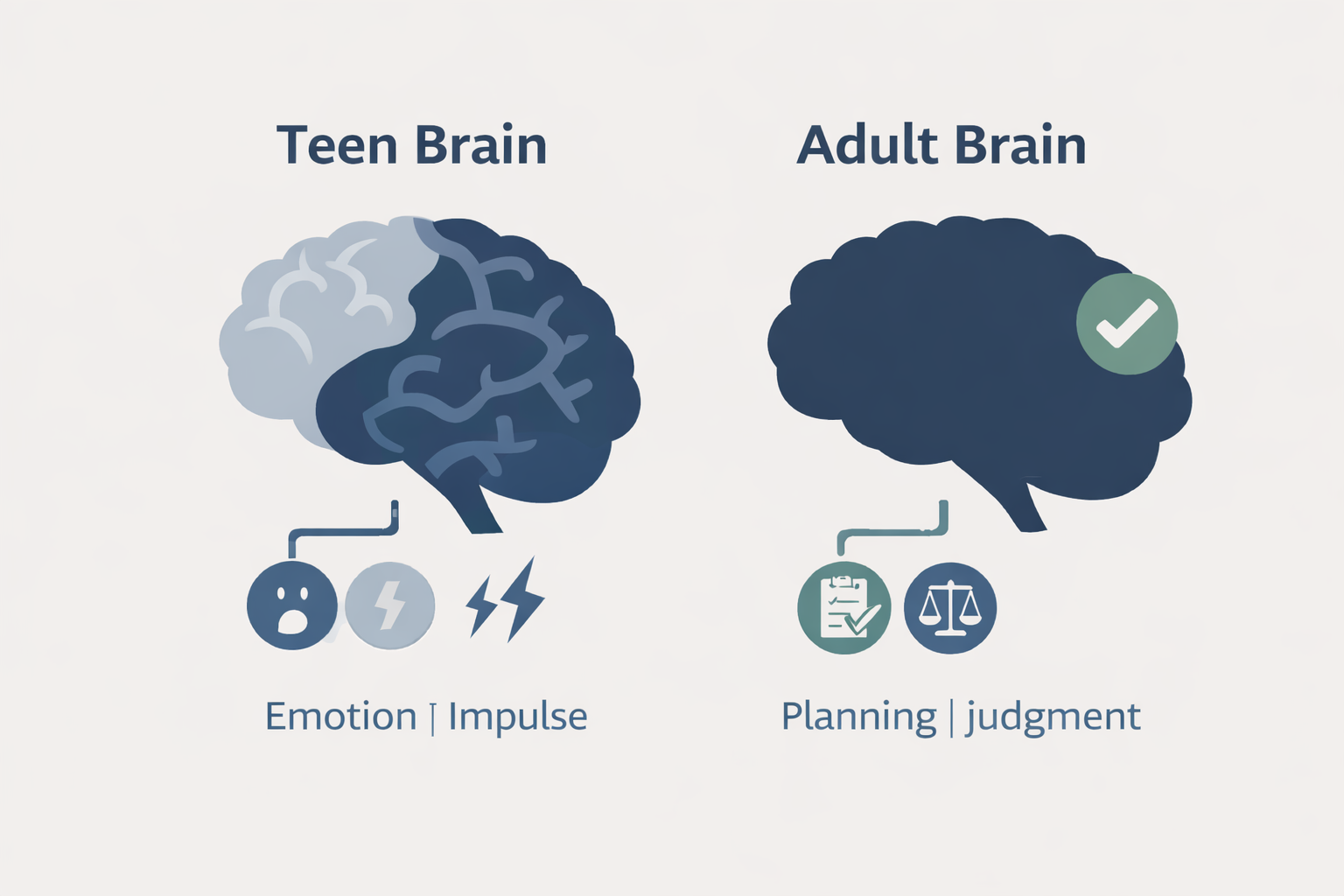 Infographic showing teen brain development: the prefrontal cortex, responsible for decision-making and impulse control, doesn't fully mature until age 25